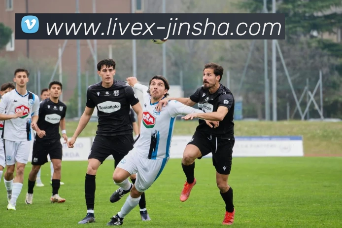 金沙娱乐城APP 封面图